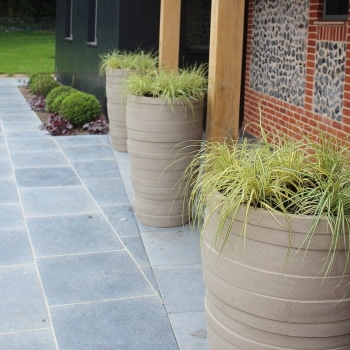 Container plants