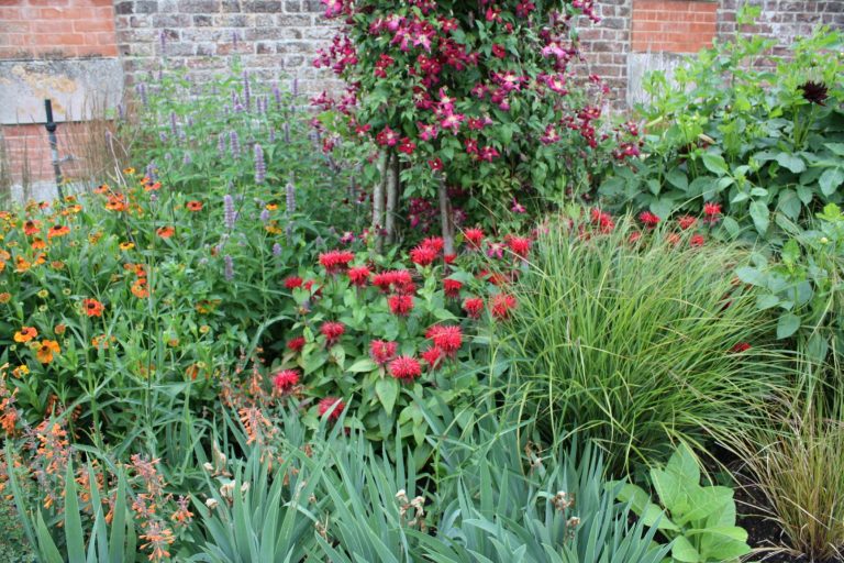 Distance-Garden-Design-Outside-Design
