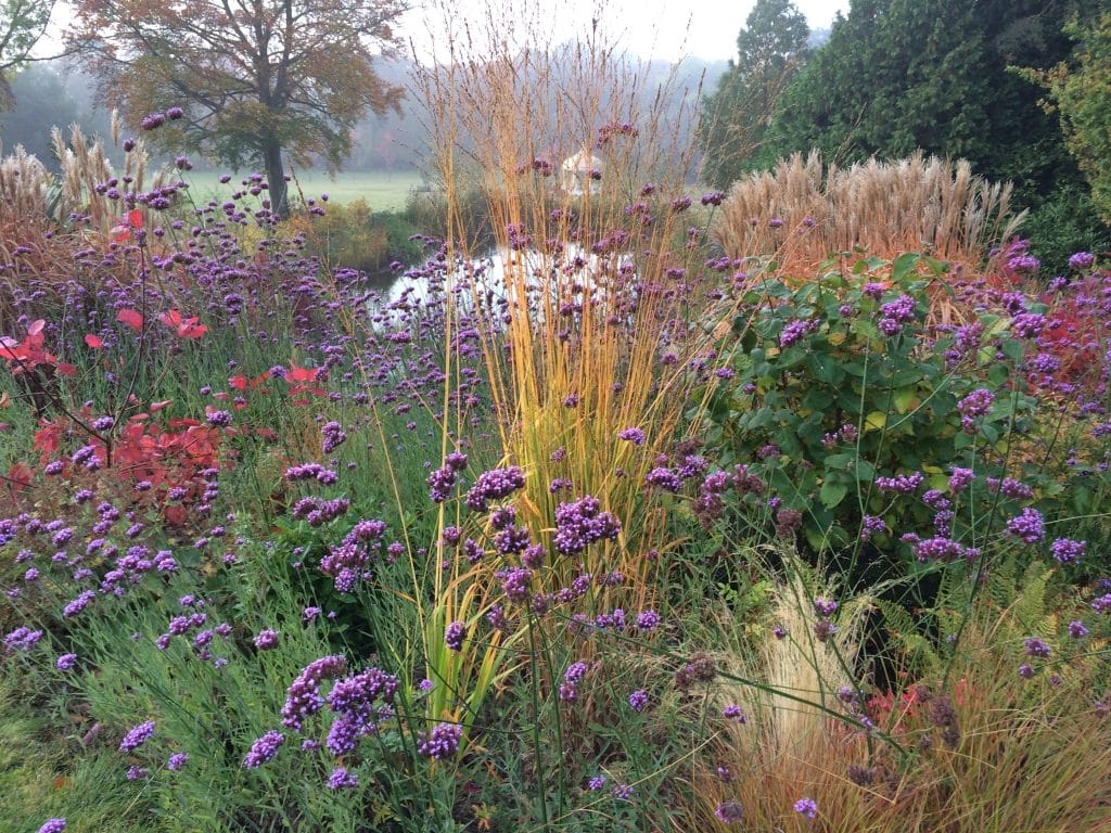 Plants of all different types