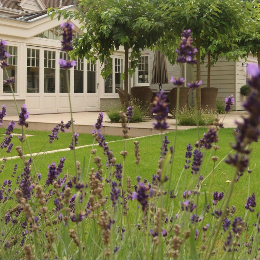 Hampshire Lodge Garden, Outside Design, Garden Designers