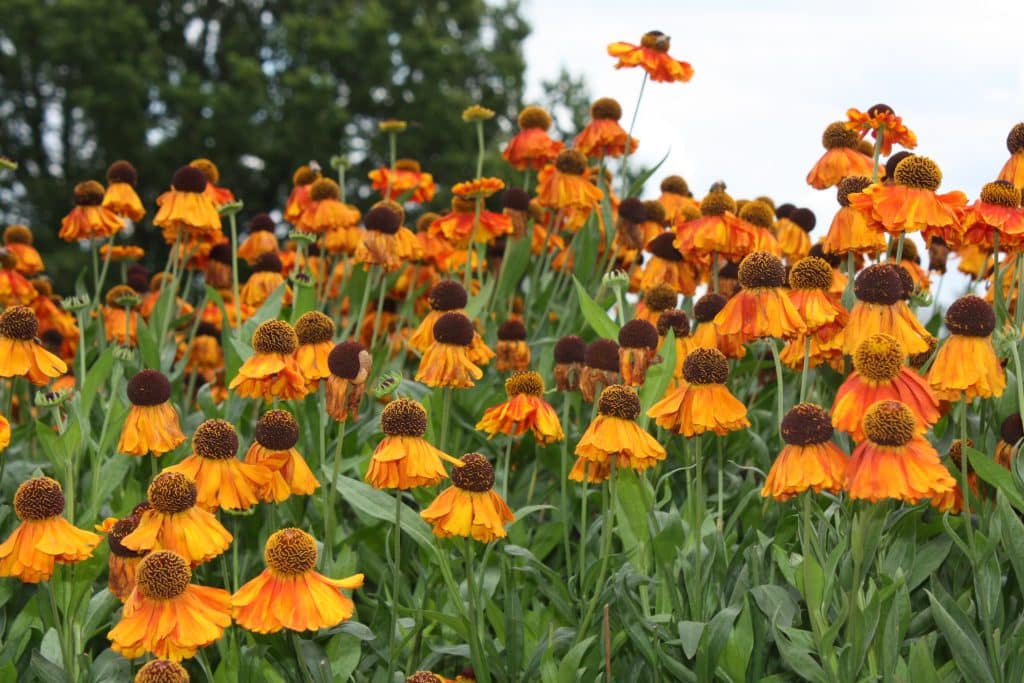 The time for change in your garden