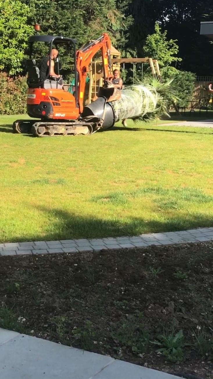 New mowing edge strip to separate lawn from planding area in low maintenance garden design by Outside Design Landscaping