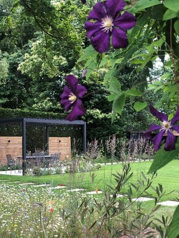 Purple flowering plants and a garden path with a wooden pergola