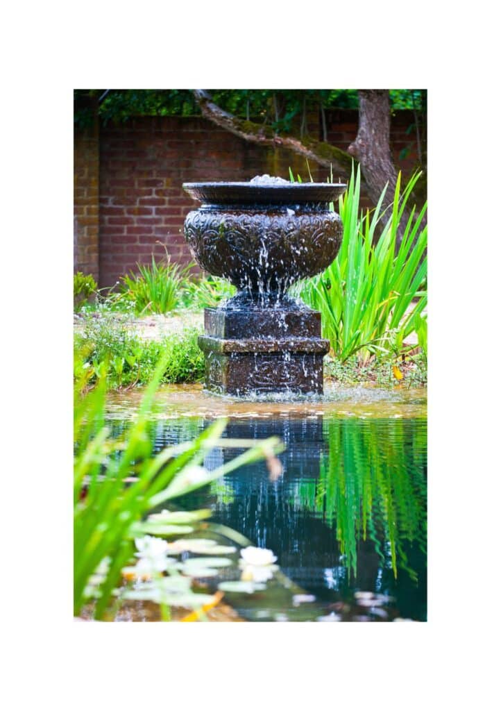 Water Feature