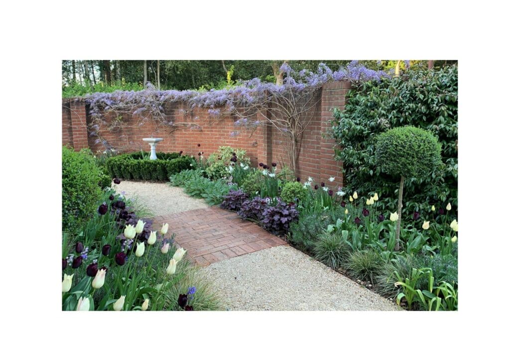 Wisteria climbing the wall and a tulip border.